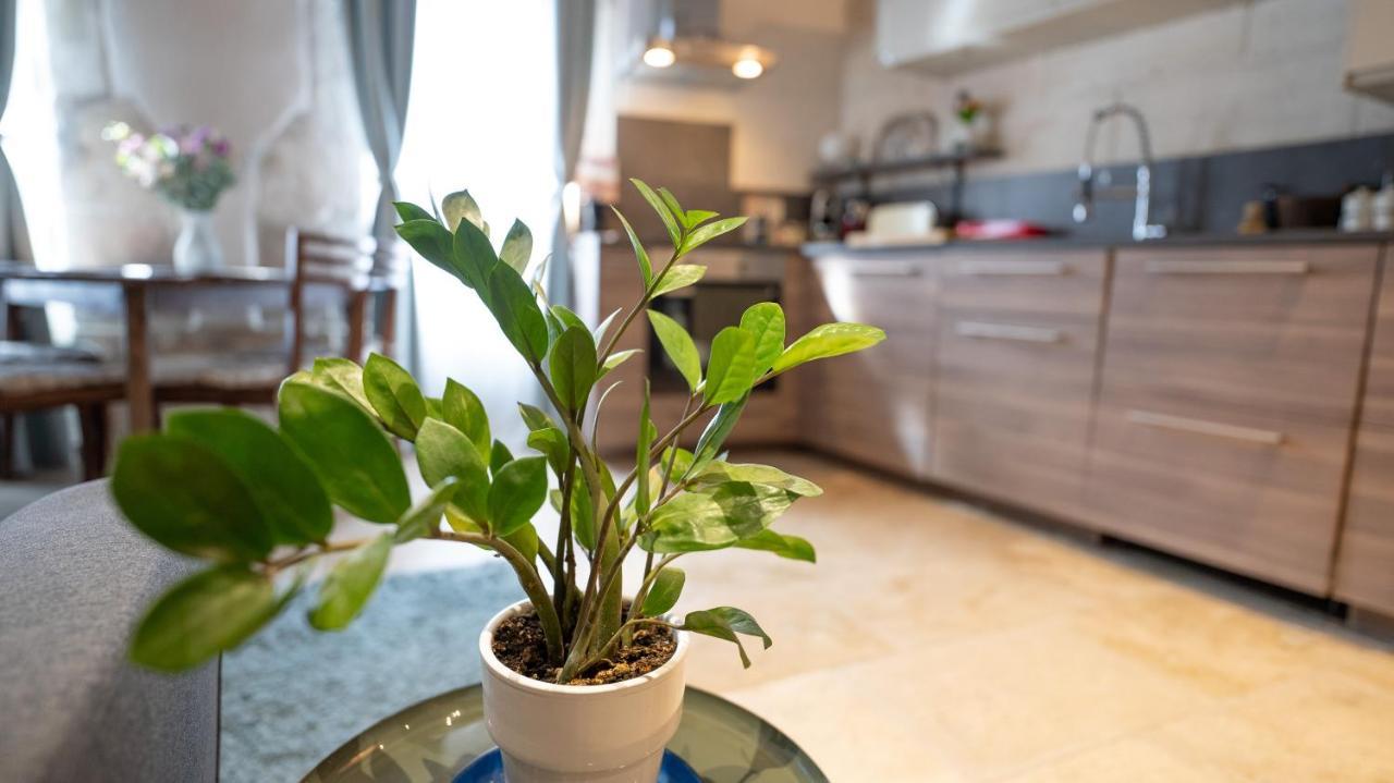 Apartment Duplex Calme Et Climatise Au Centre Historique *